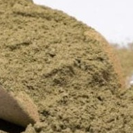 

TERBAIK DAUN SANGITAN BUBUK/BROBOS KEBO HERBAL-250 GRAM