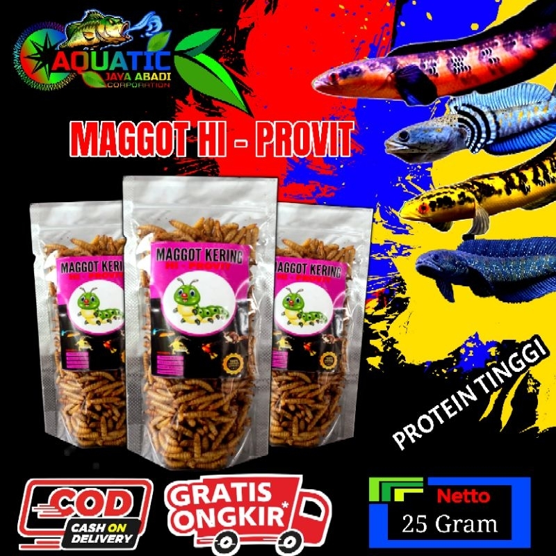 Maggot Hi-Provit Pakan Ikan Predator Protein Tinggi