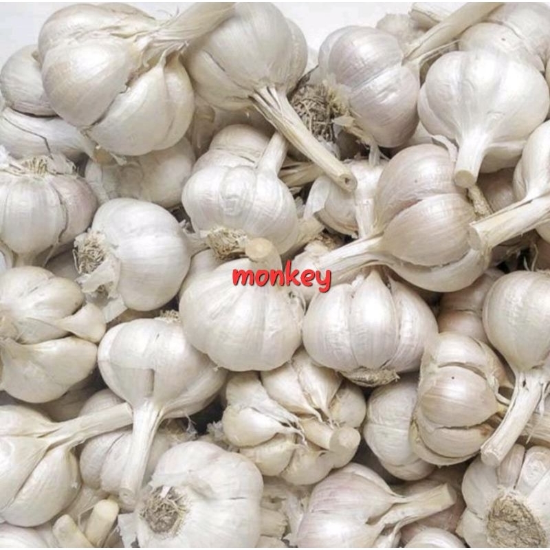 

bawang putih kating1 kg (utuh)