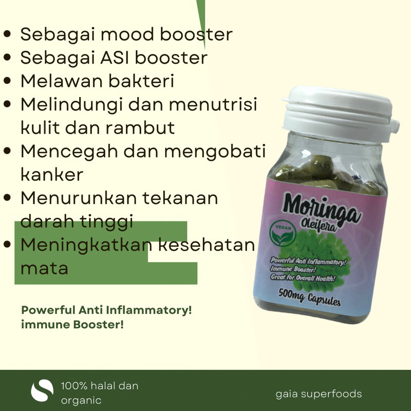 Kapsul Daun Kelor / Moringa Oleifera