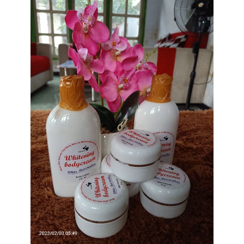 PAKET LENGKAP WAZATARU