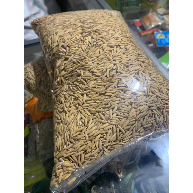 Gabah Beras Putih
