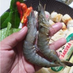 

PAKET SIAP MASAK TomYum Komplit Steamboat Ala Resto dan bumbu Tomyam Segar