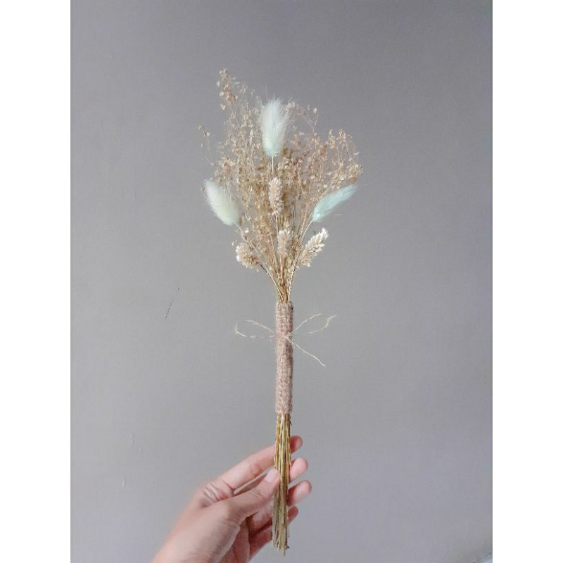 buket bunga kering | dried flowers lagurus | bunga kering aesthetic
