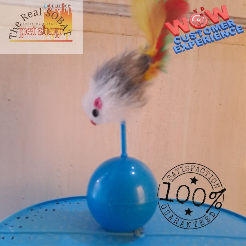 Bola Mainan Atraksi Kucing | Bola Atraksi Anabul |