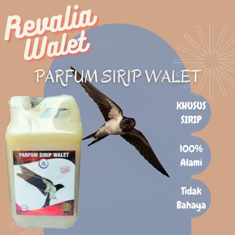 REVALIA WALET - PARFUM SIRIP WALET 5 LITER