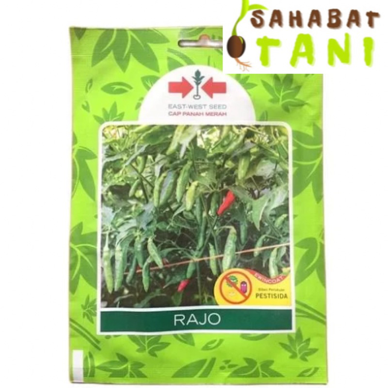 Benih Cabe Rawit Hijau Rajo Repack 50 Biji