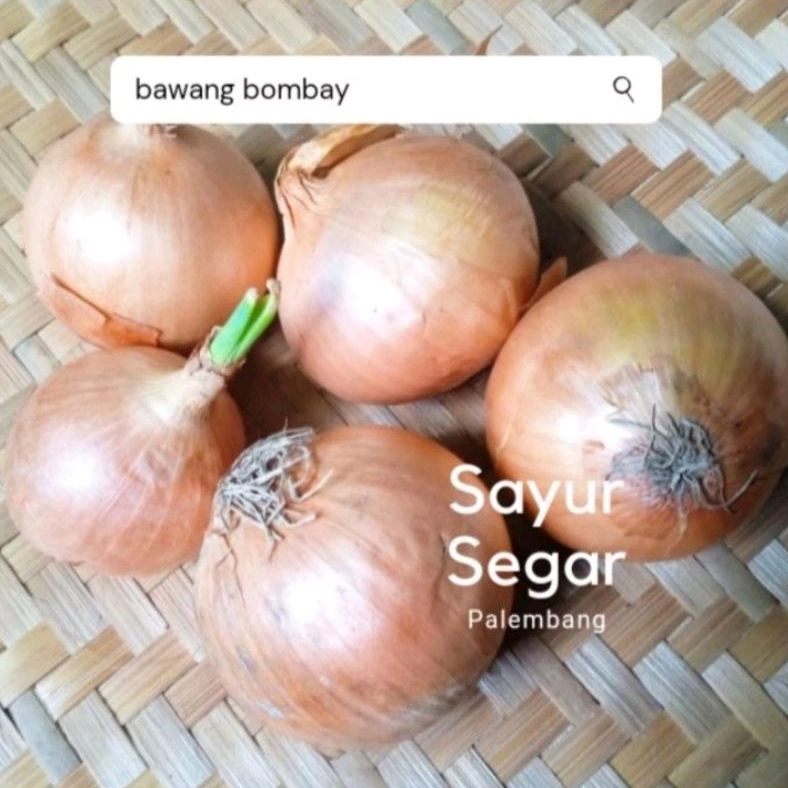 

Bawang Bombay 100 Gr