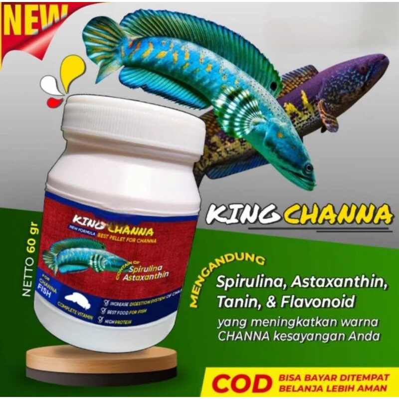 Pelet Pakan Channa KINGCHANNA Ikan Channa Maru Auranti Blue Pulchra Andrao