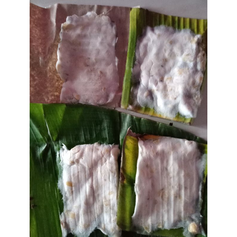 

Tempe kedelai Wonogiri kemasan besar ,1 paket isi 20 tempe