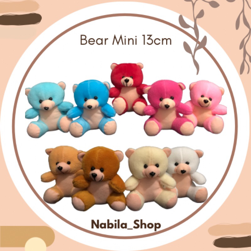 boneka bear mini/bucket/Bear wisuda/bear Toga 13cm
