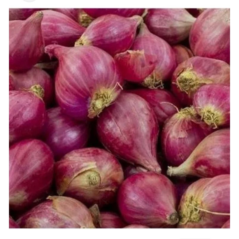 

bawang merah asli Probolinggo...hasil panen sendiri
