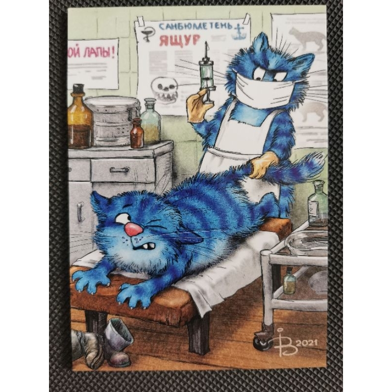 

kartu pos kucing bluecat/bluecat postcard