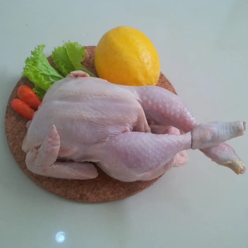 

Promo TERMURAH Ayam karkas frozen , ayam segar, ayam potong berat 07-08.