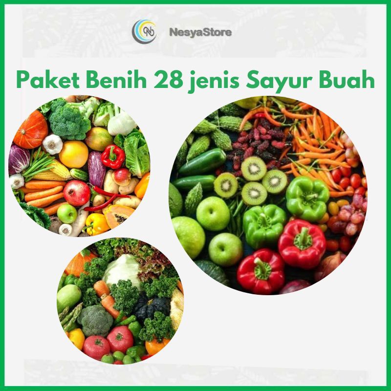 Paket Benih 28 Jenis Sayur Buah Premium Berkualitas Benih Sayuran Buah Bibit Sayuran