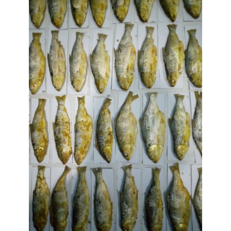 

bandeng presto nadiaku kemasan vacum