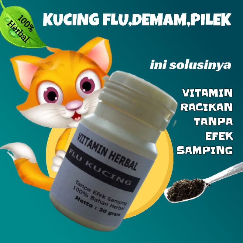 Vitamin kucing flu demam herbal
