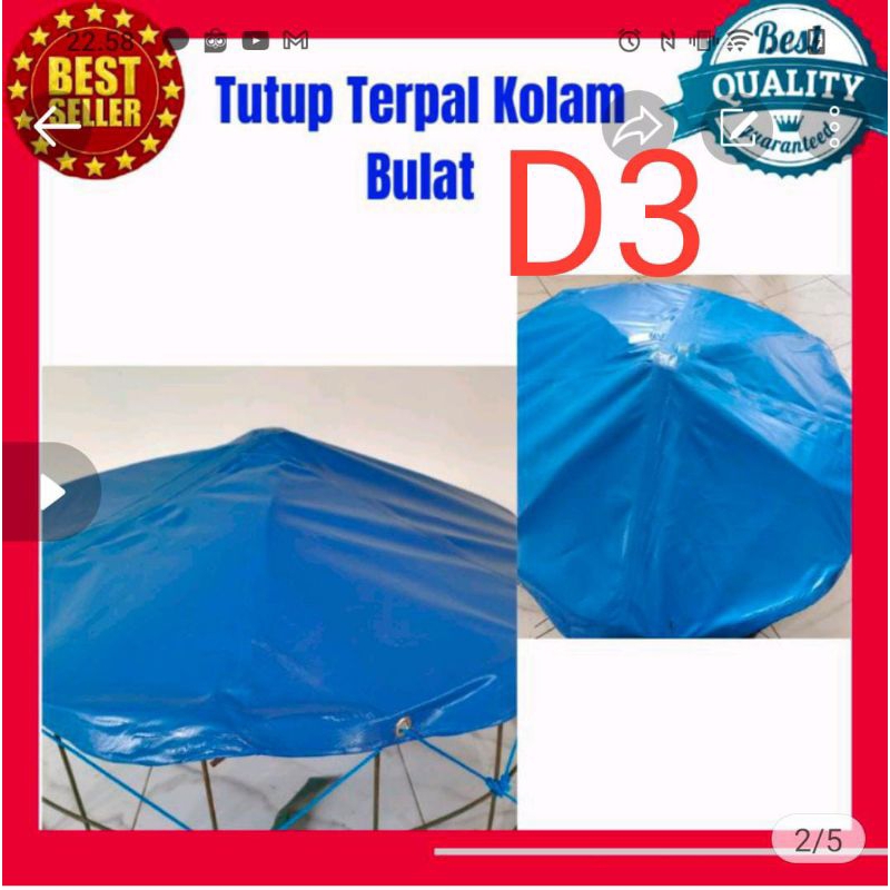 Penutup kolam terpal bulat D3 bahan orchid saat hujan