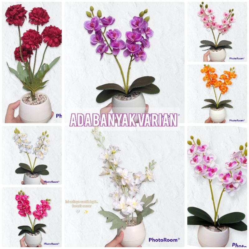 Bunga Anggrek Bulan Mini pot bola tanaman palsu kaktus palsu anggrek imitasi anggrek kain bukan late