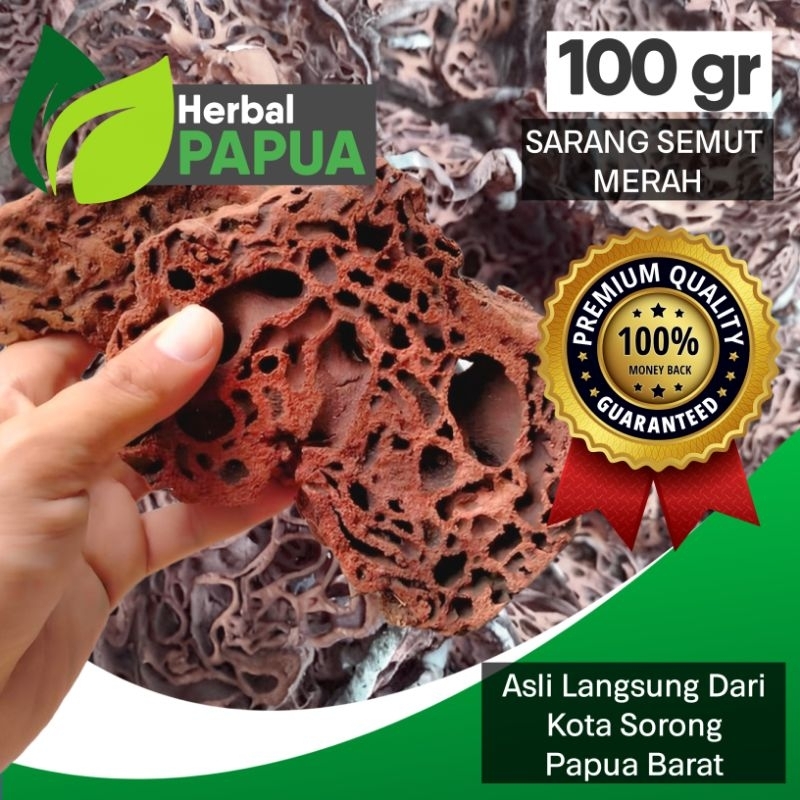 

SARANG SEMUT MERAH 100gr PREMIUM 100% ORI