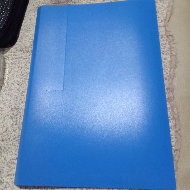 

DAIICHI clear holder 20 pockets file F4