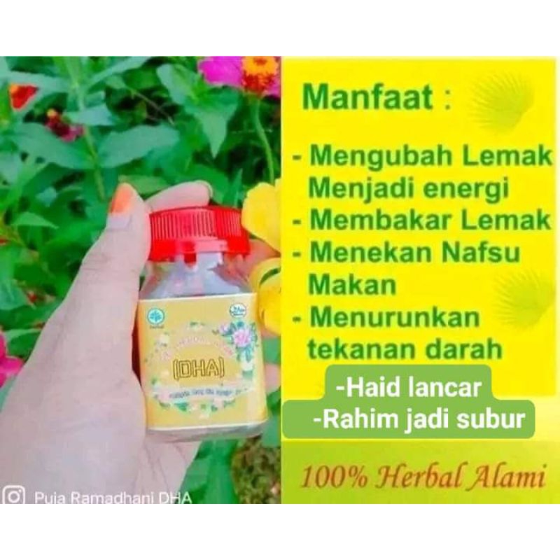 DHA(obat diet herbal alami)-botol besar