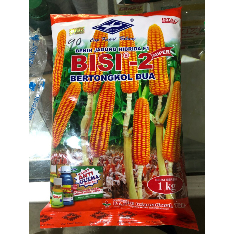 

bisi 2
