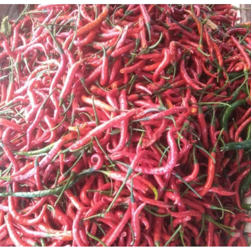 

cabai merah segar 250gr
