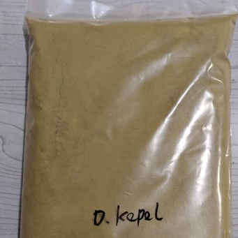 

TERBAIK BUBUK DAUN KEPEL KERING HERBAL 500 GRAM