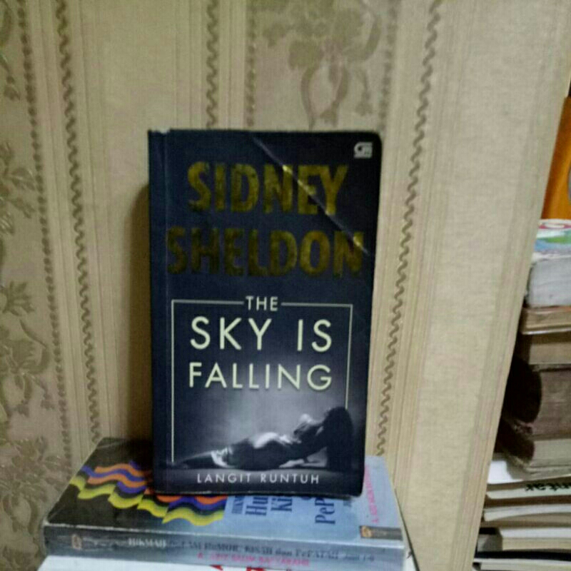 ORI BUKU THE SKY IS FALLING