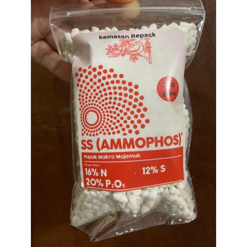 Pupuk untuk vegetatif anakan SS ammophos 200 gram