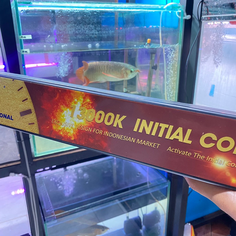 Lampu Tanning Celup Mayin 13000K untuk akuarium ikan arwana