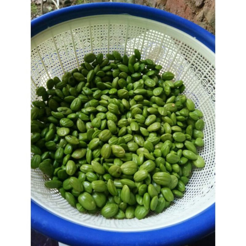 

petai kupas fresh murah 250gr