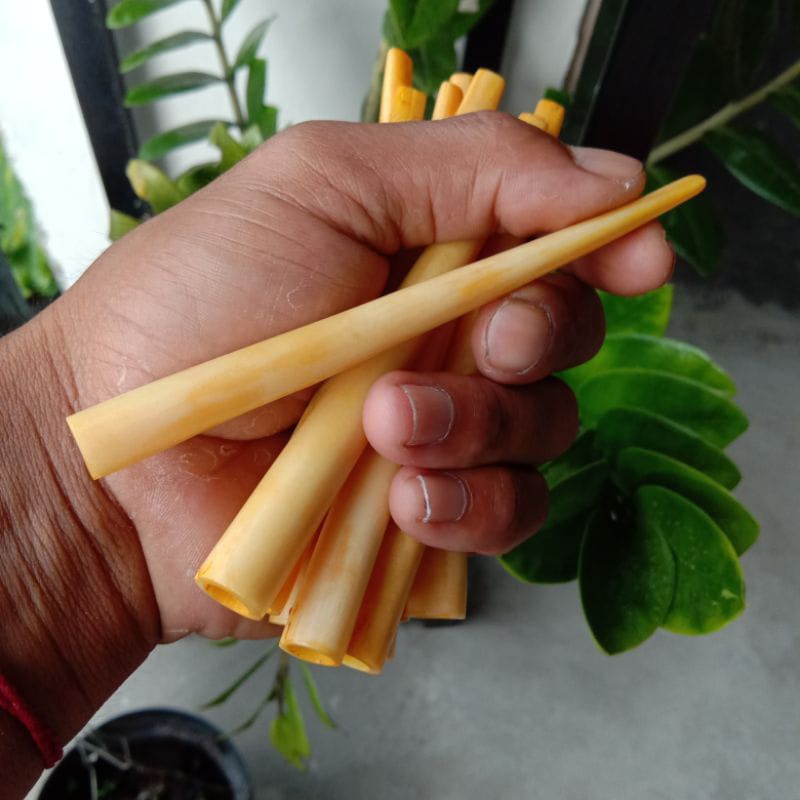 ONCE TULANG SAPI BULAT ASAPAN PANJANG BERVARIASI