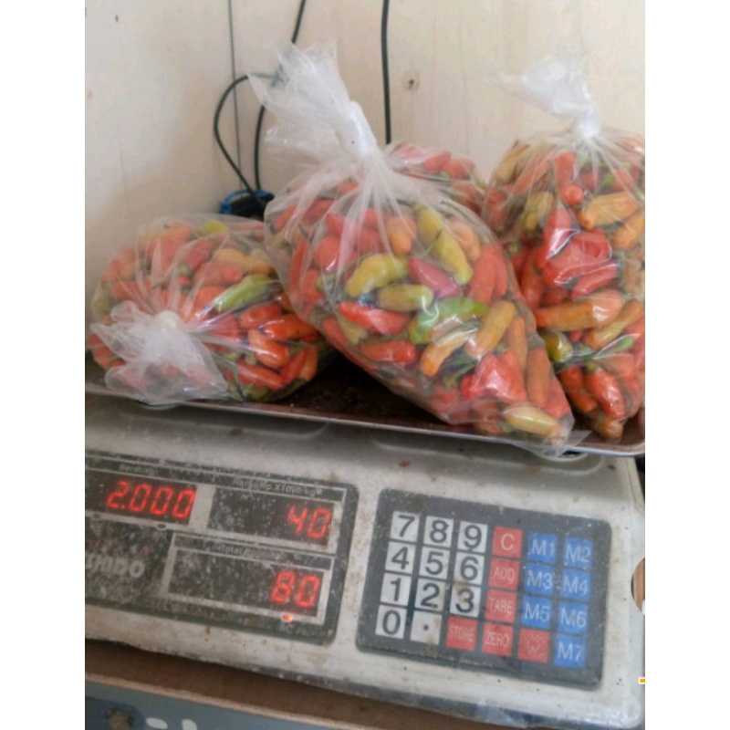 

Cabe Rawit Merah dan Hijau 250 Gram, 500 Gram dan 1 Kg