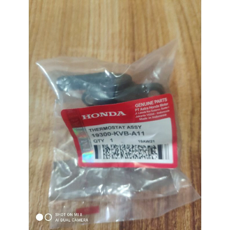 THERMOSTAT VARIO 110