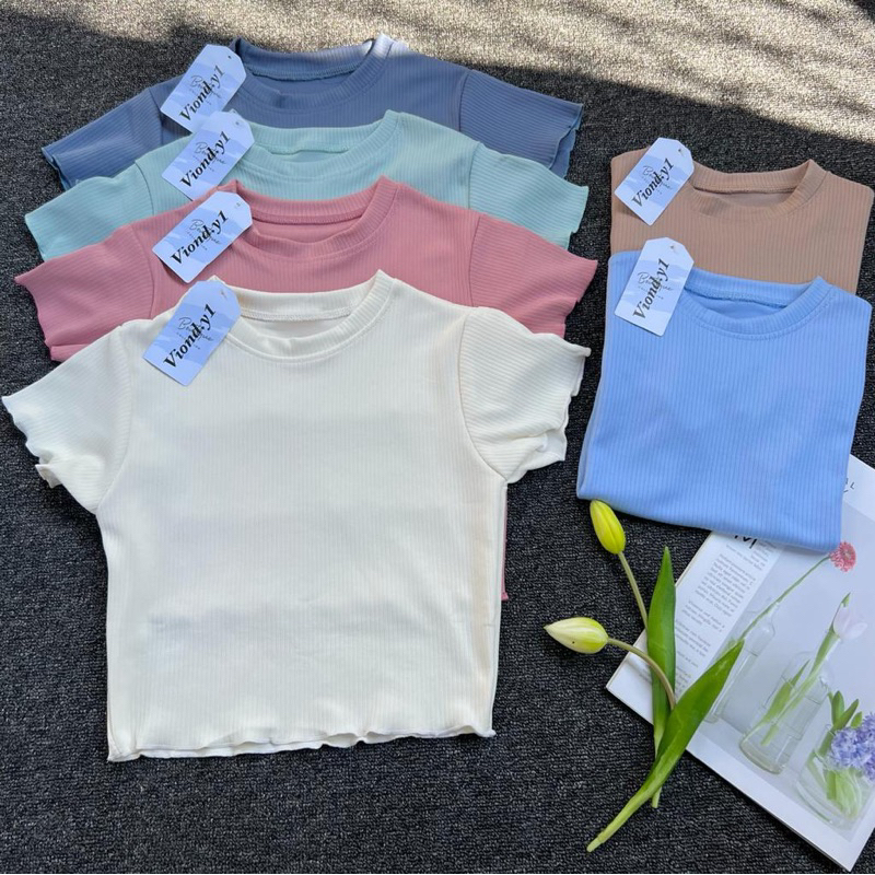 Atasan Wanita Crop Top Strech / Kaos Cewek Polos / Baju Knit Korea Lengan Pendek E32