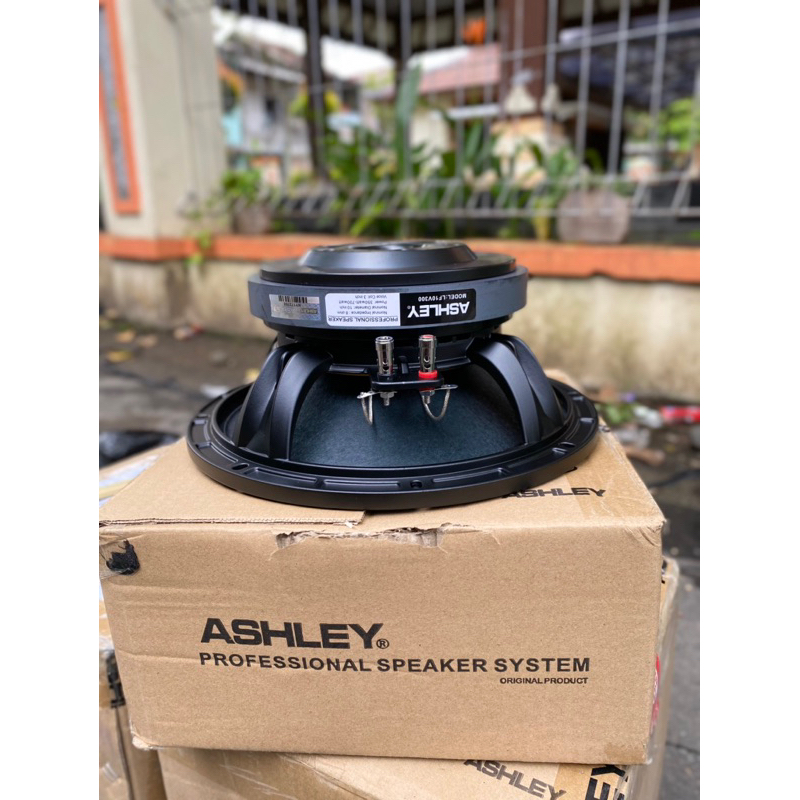 Speaker Ashley 10v300