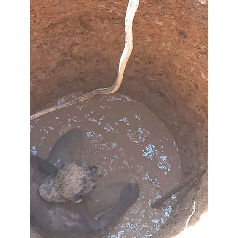 Mendalami Sumur