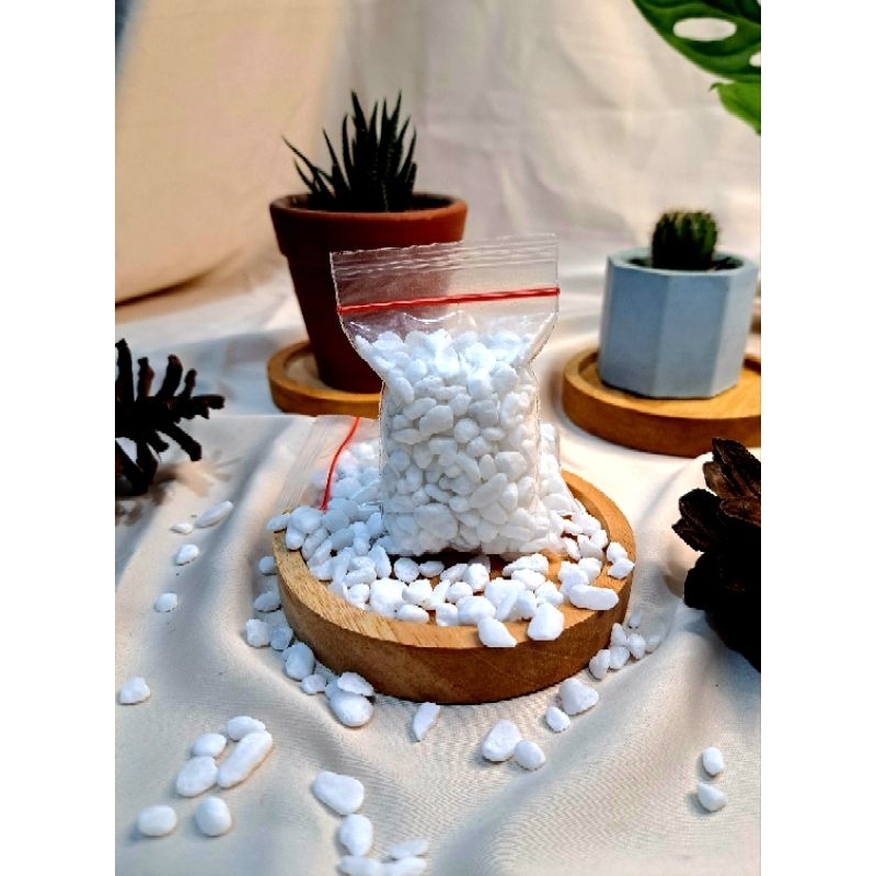 batu hias akuarium cupang batu koral hias putih kerikil hias taman aquarium aquascape