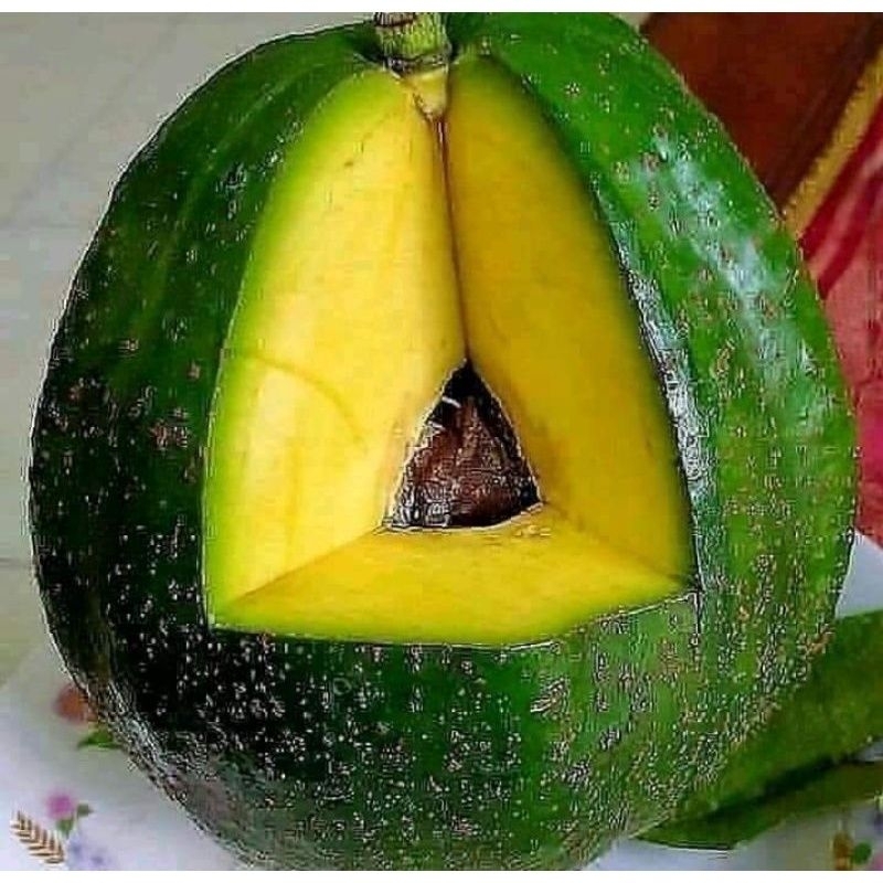 Buah Alpukat fresh, Markus, Mentega.Miki 1 kg