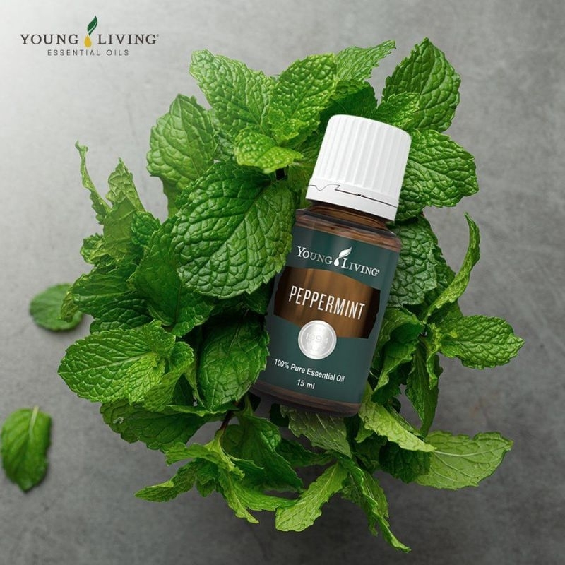 Essential Oil EO Young Living YL Peppermint Ori 5ml 15ml