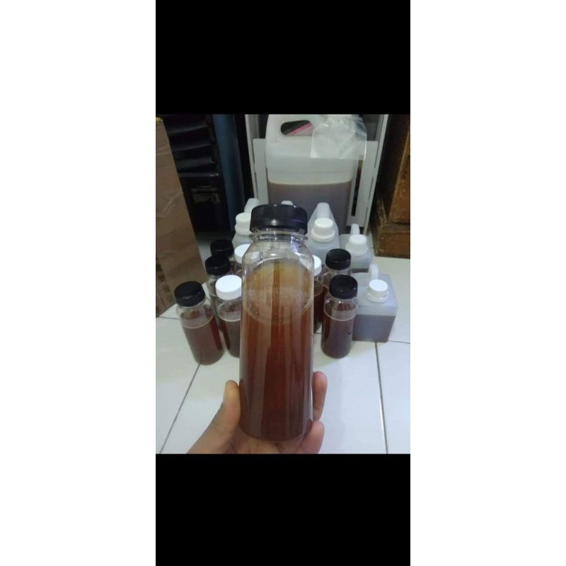 

madu hutan sumatra