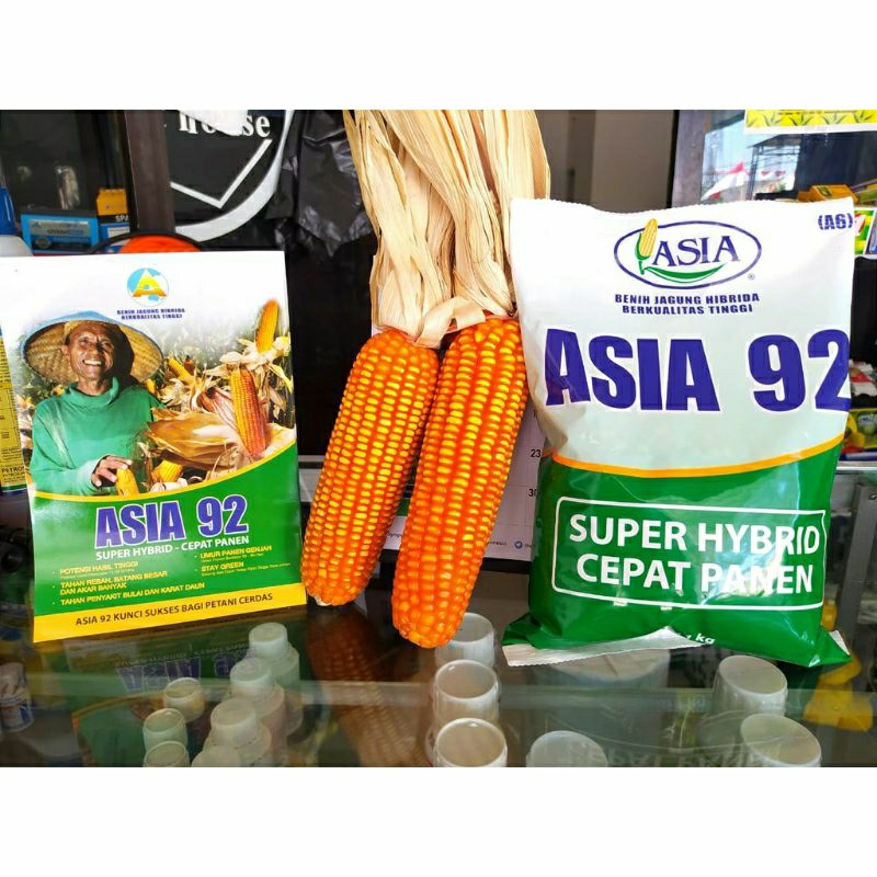 BENIH JAGUNG HIBRIDA ASIA 92
