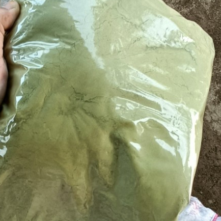 

TERBAIK BUBUK DAUN WIDURI HERBAL 500 GRAM