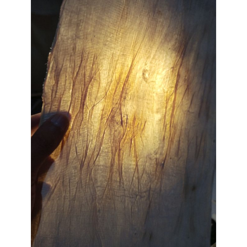 

Kertas Daluang/ulantaga A4 Handmade