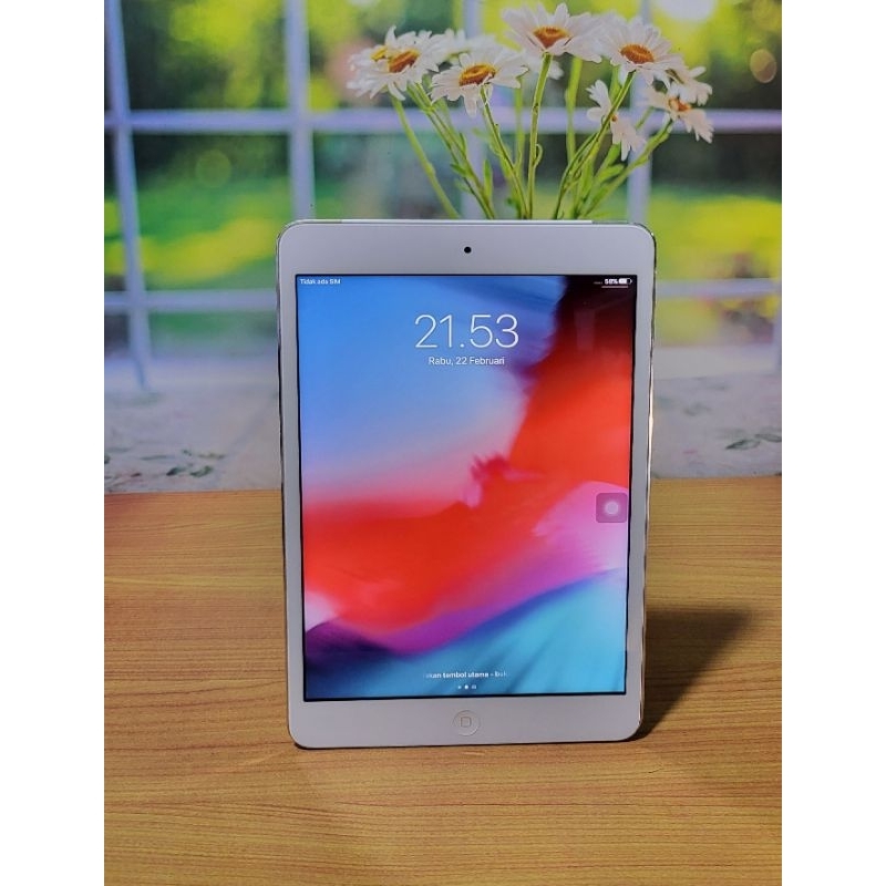 iPad Mini 2 7.9 inch Cellular