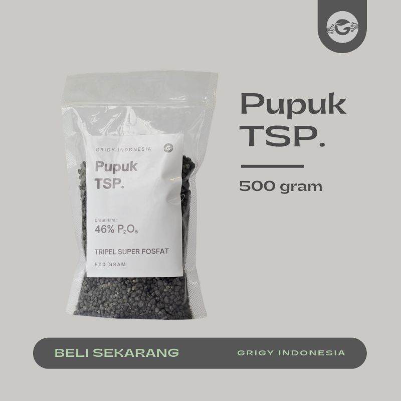 PUPUK FERTIPHOS / PUPUK TSP / PUPUK TRIPLE SUPER FOSFAT