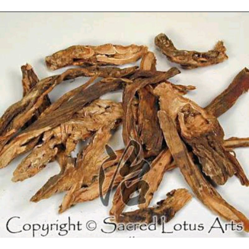 

300 G GR GRAM 秦艽 QIN JIAO GENTIANA MACROPHYLLA ROOT LARGELEAF GENTIAN ROOT