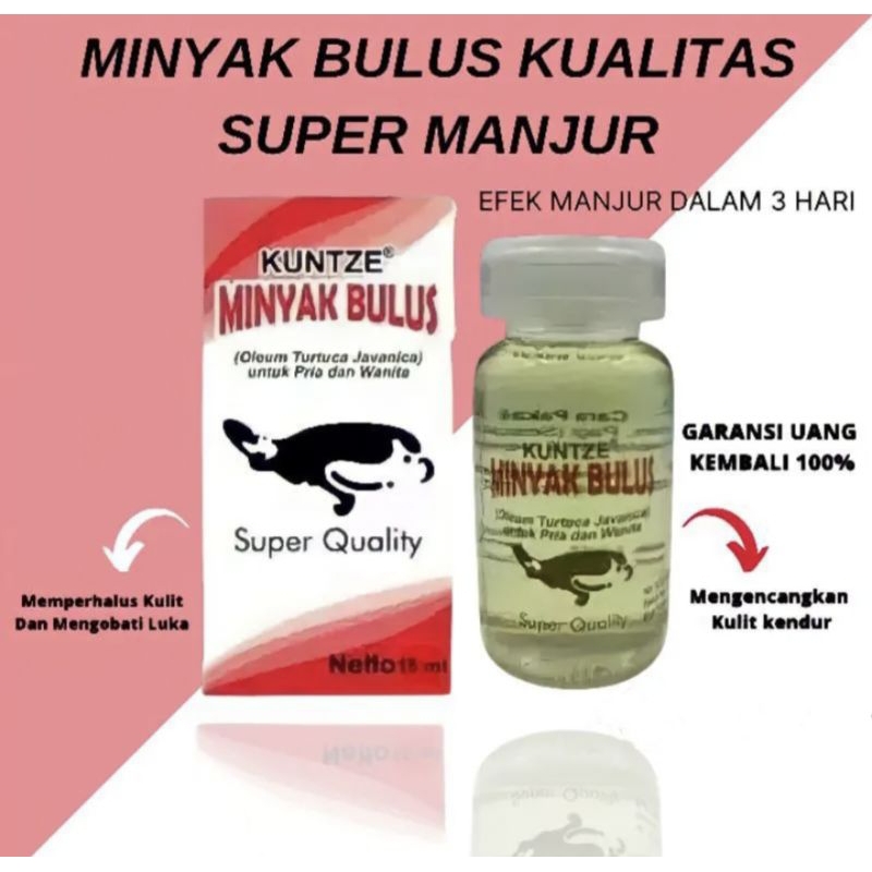 MINYAK BULUS KUNTZE ORIGINAL